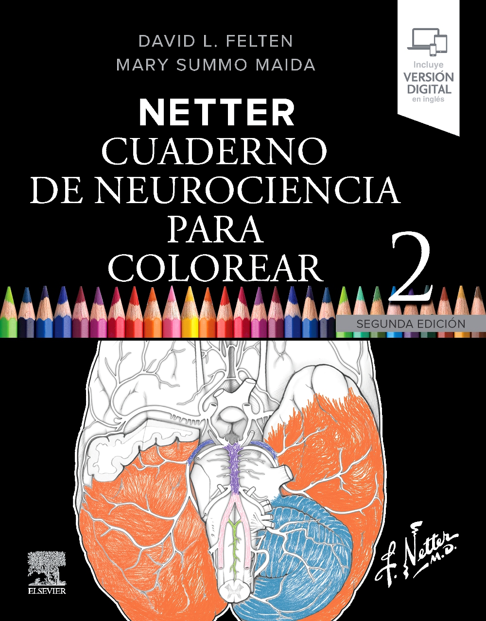 Netter:cuaderno neurociencia para colorear