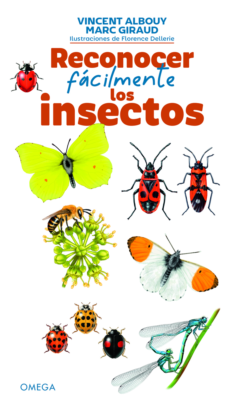 Reconocer facilmente los insectos