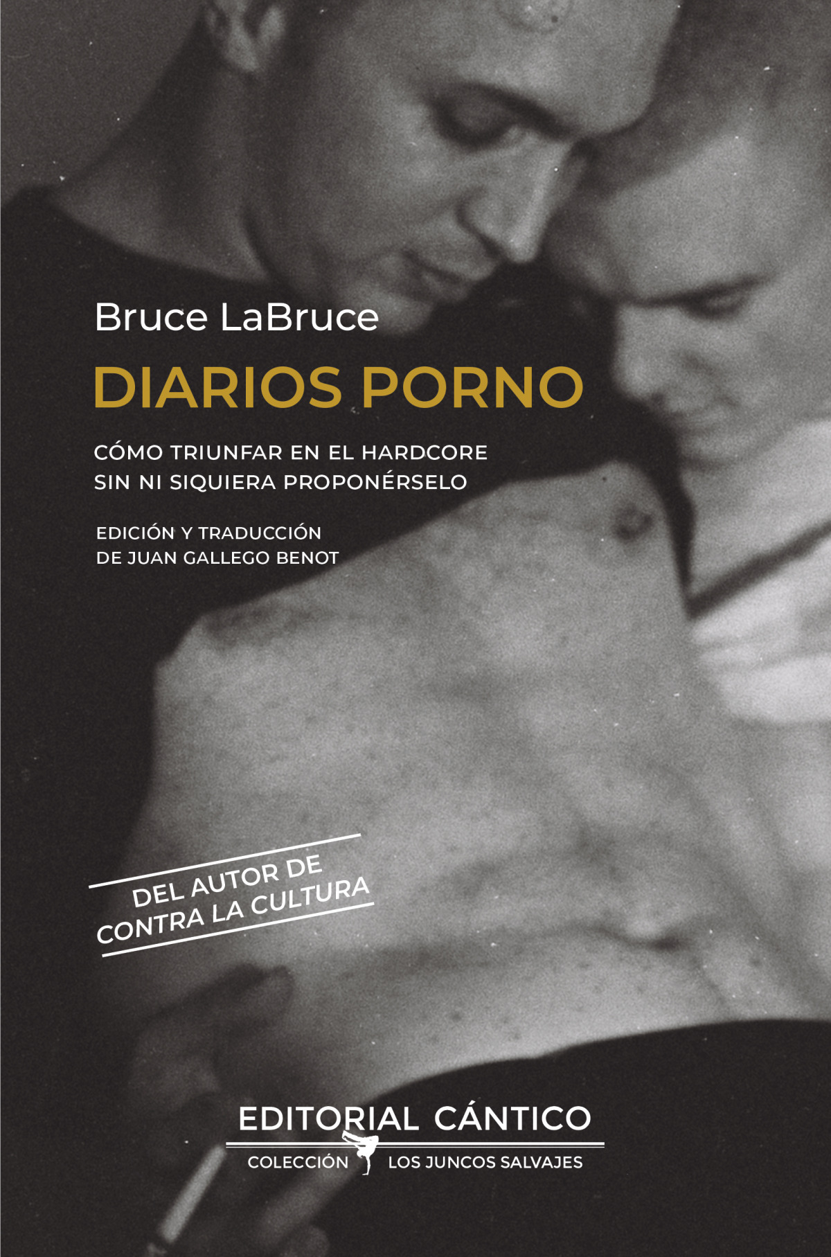 DIARIOS PORNO