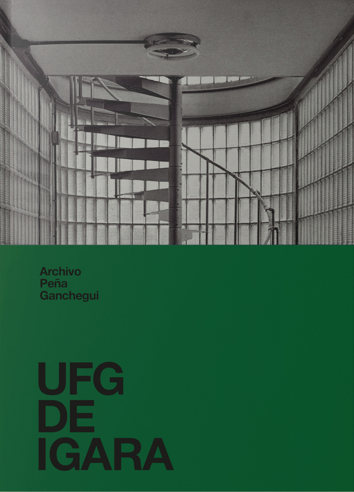 IFG DE IGARA