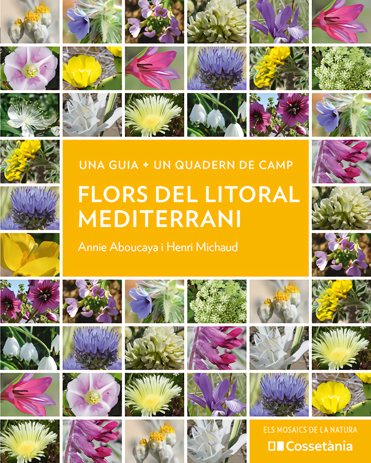 Flors del litoral mediterrani