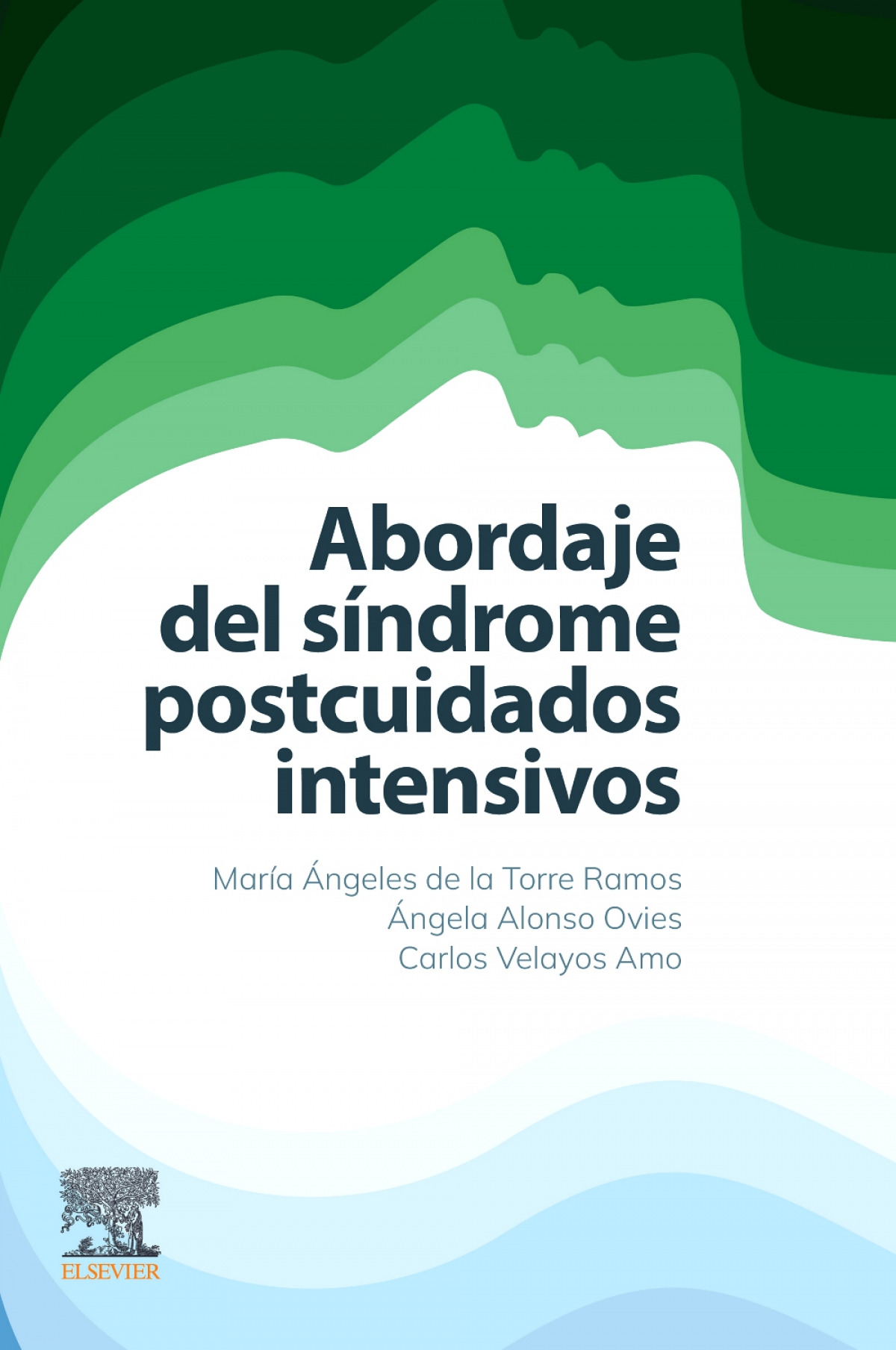 025 ABORDAJE DEL SINDROME POSTCUIDADOS INTENSIVOS