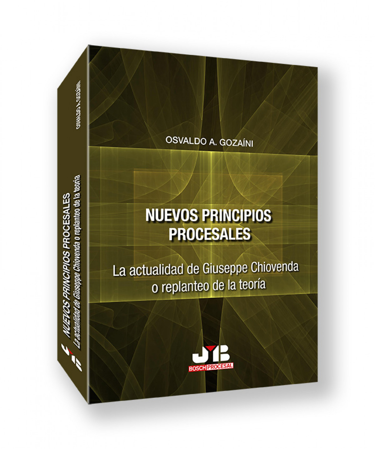Nuevos principios procesales