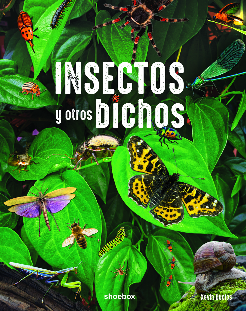 Insectos y otros bichos