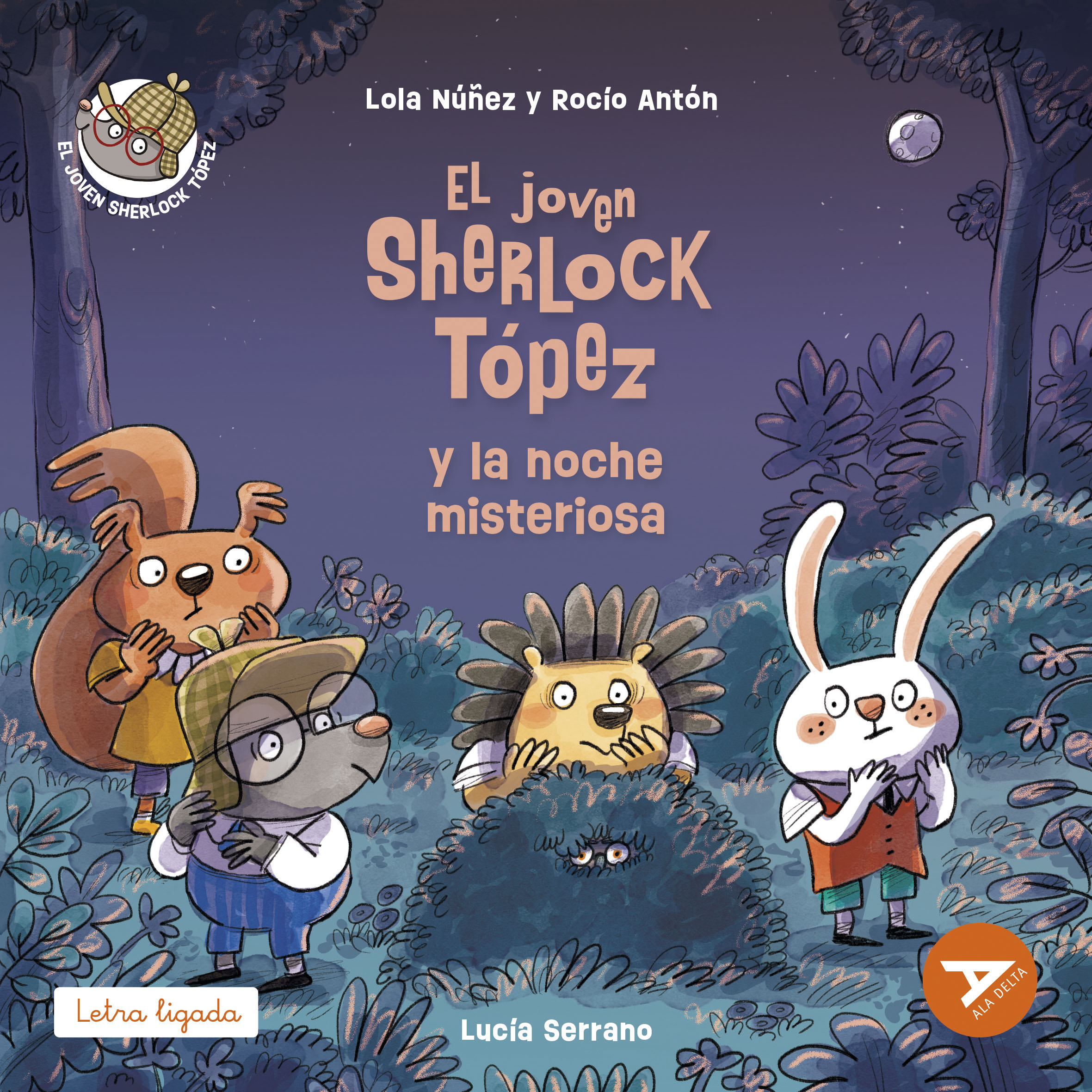 El joven Sherlock Tópez y la noche misteriosa