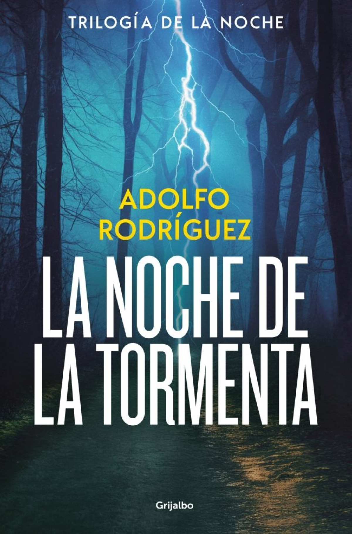 La noche de la tormenta (Trilogía Gabriel Somoza 3)
