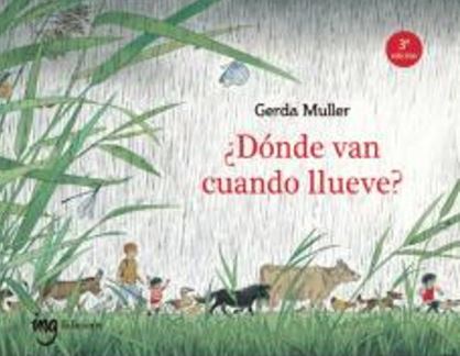 ¿Dónde van cuando llueve?