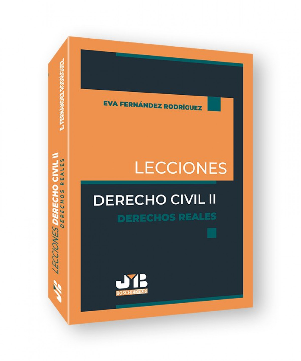 Ii.lecciones derecho civil:derechos reales