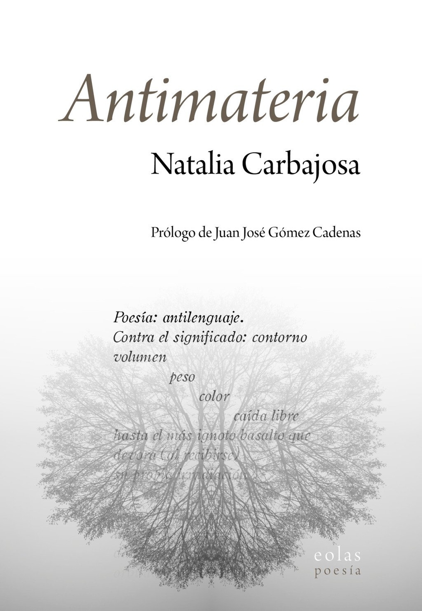 Antimateria