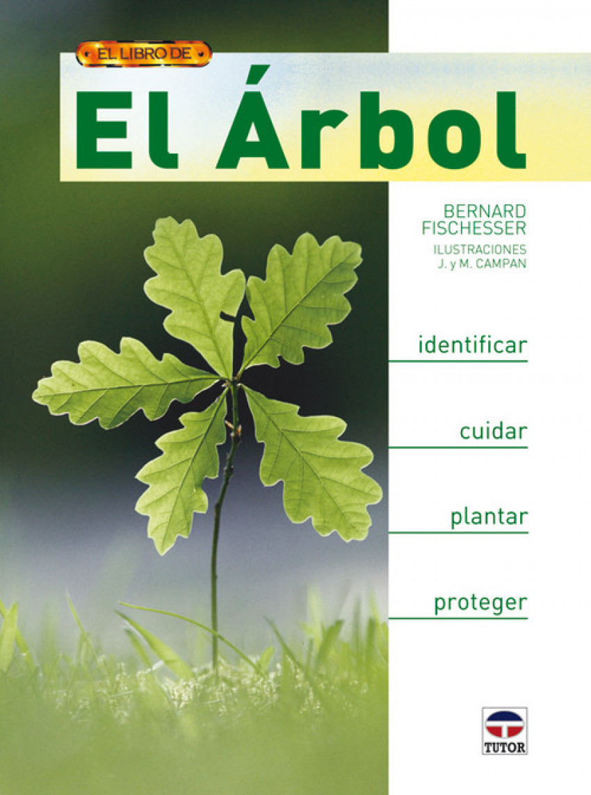 El arbol