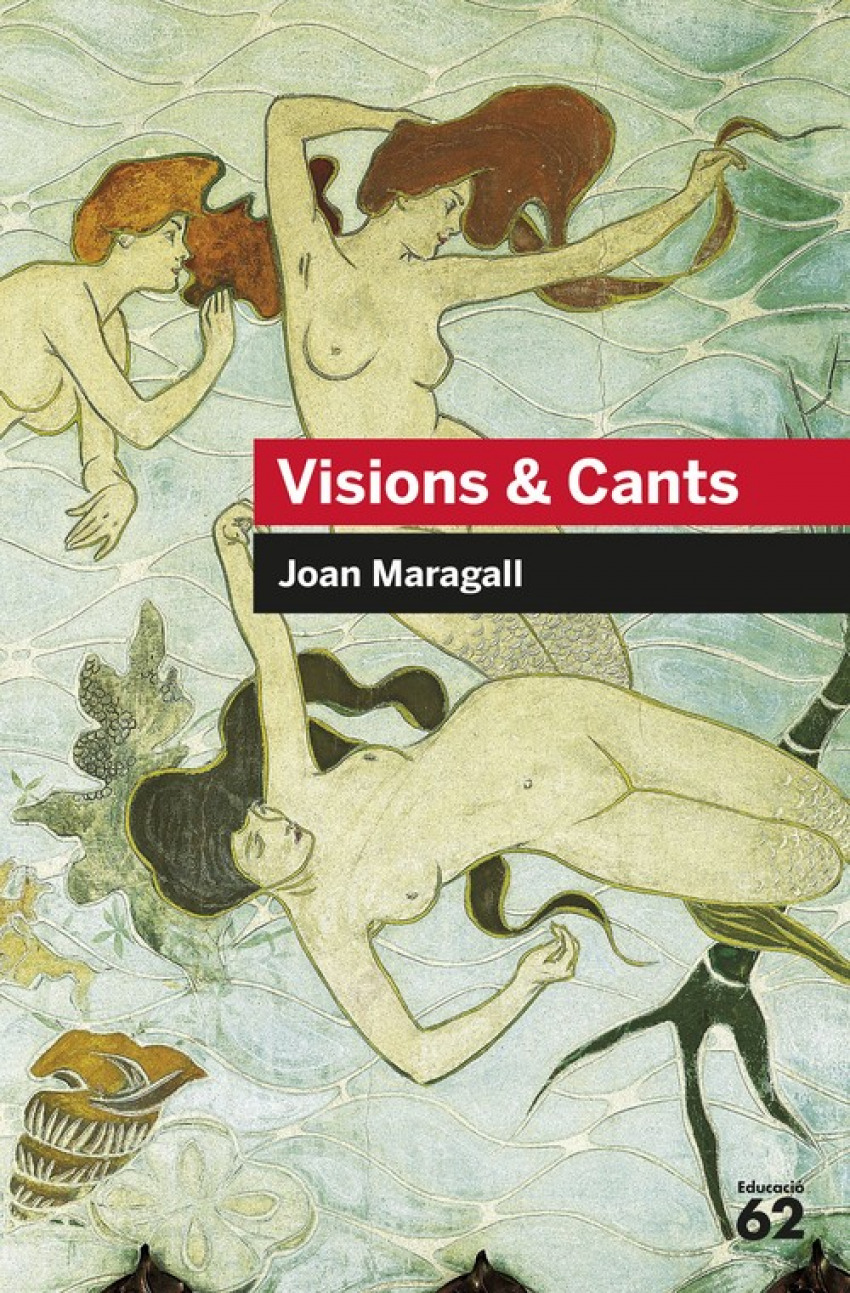 Visions &Cants