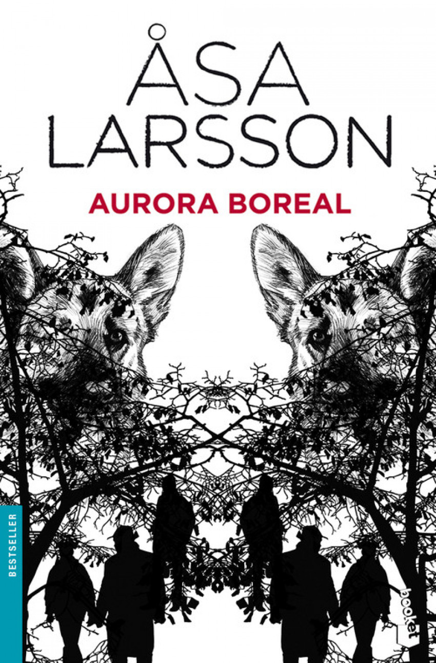 Aurora boreal