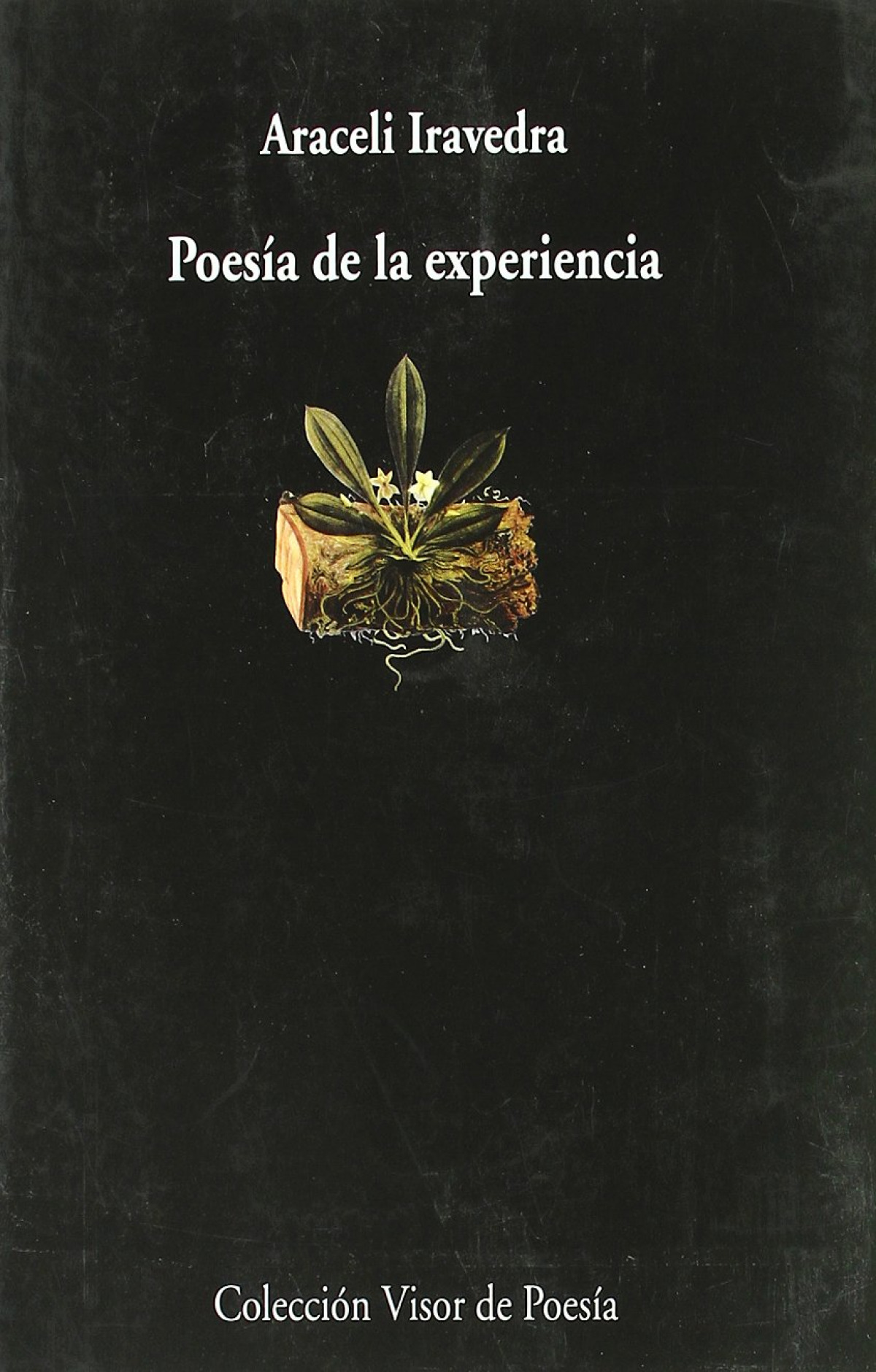 Poesia de la experiencia