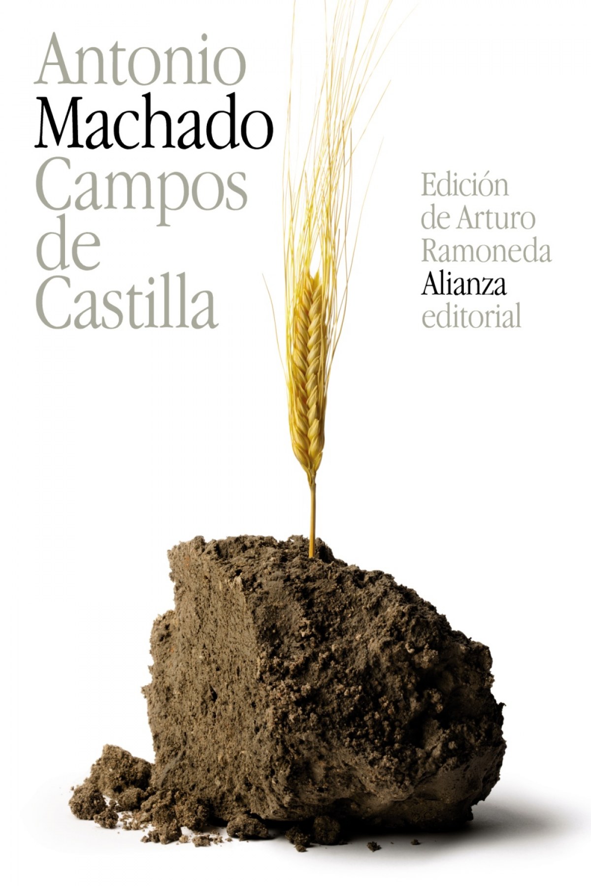 Campos de castilla