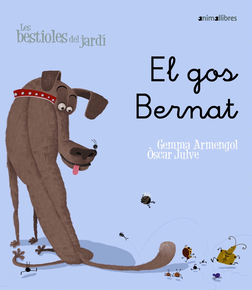 El perro bernardo