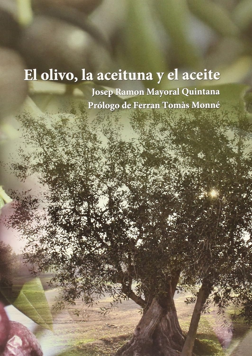 El olivo, la aceituna y el aceite