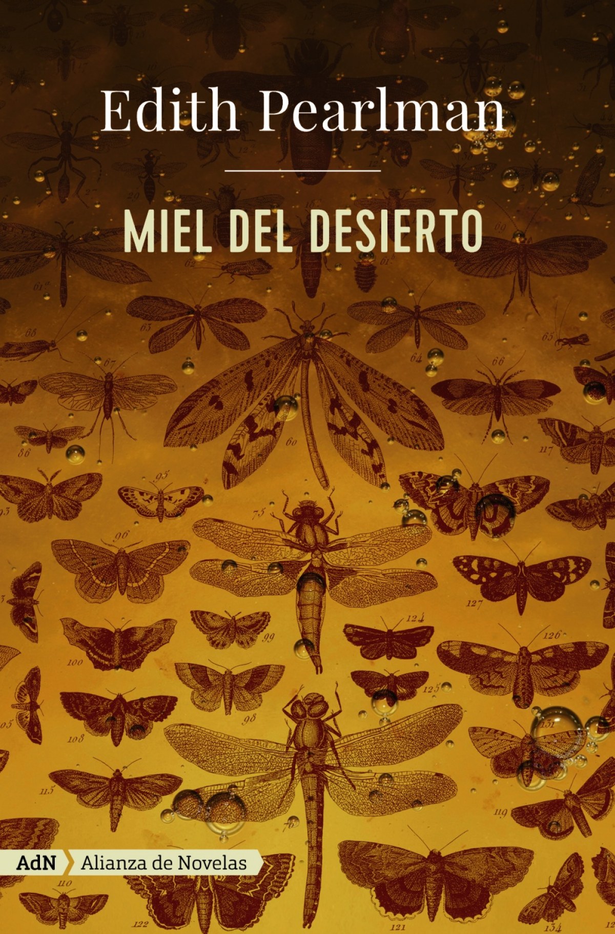 Miel del desierto (AdN)