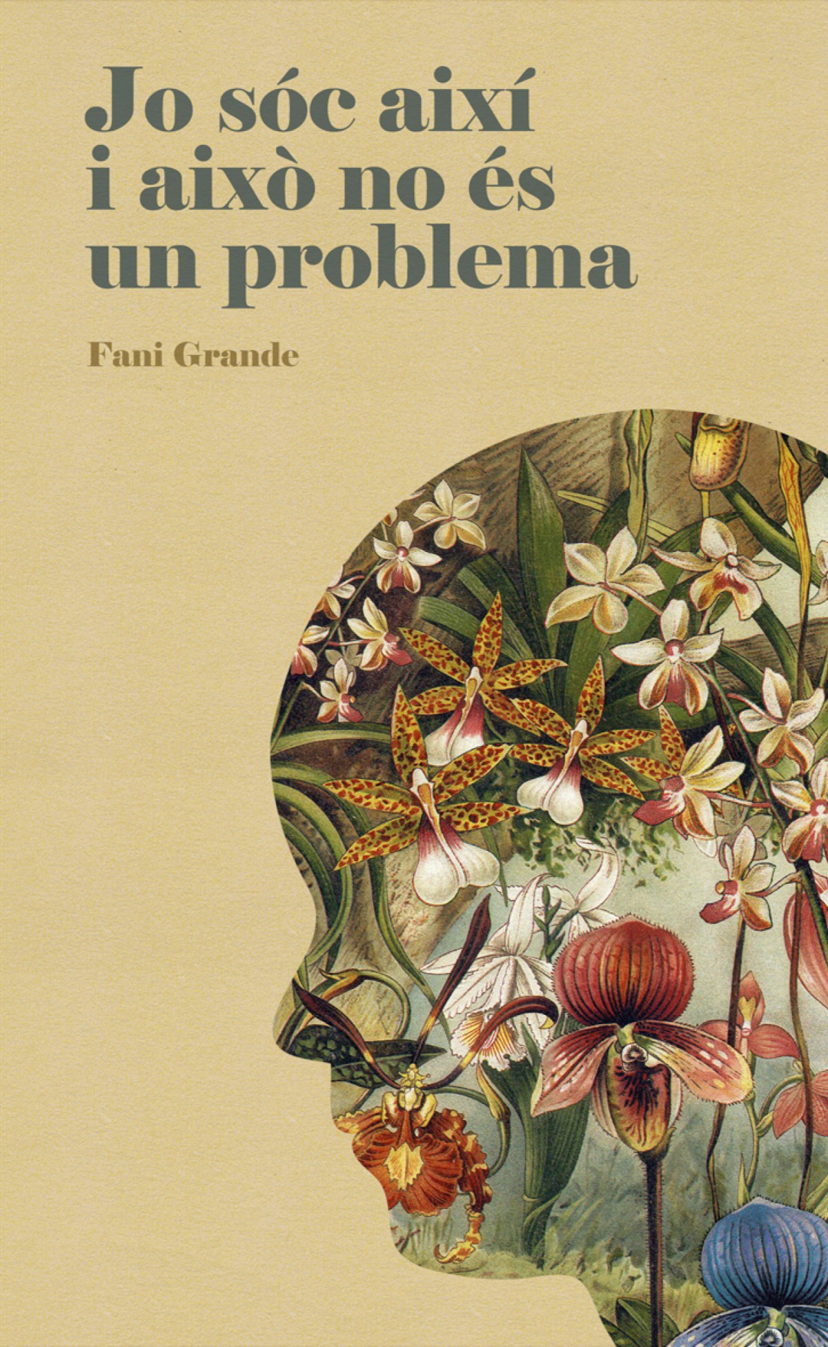 JO SOC AIXI I AIXO NO ES UN PROBLEM