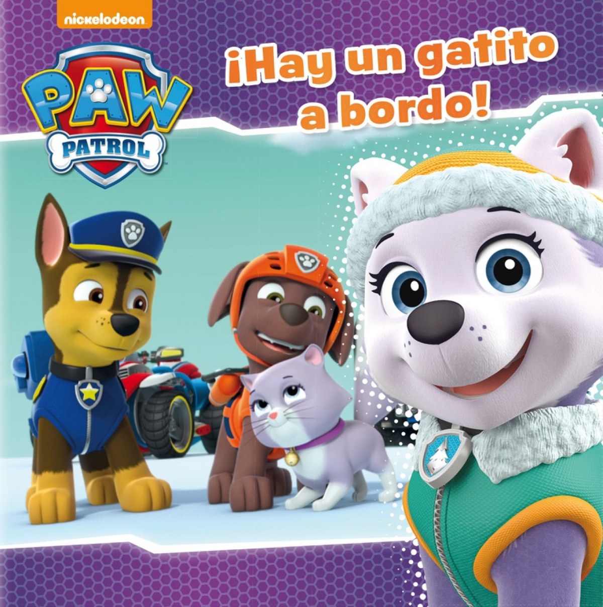 ¡HAY UN GATITO A BORDO!