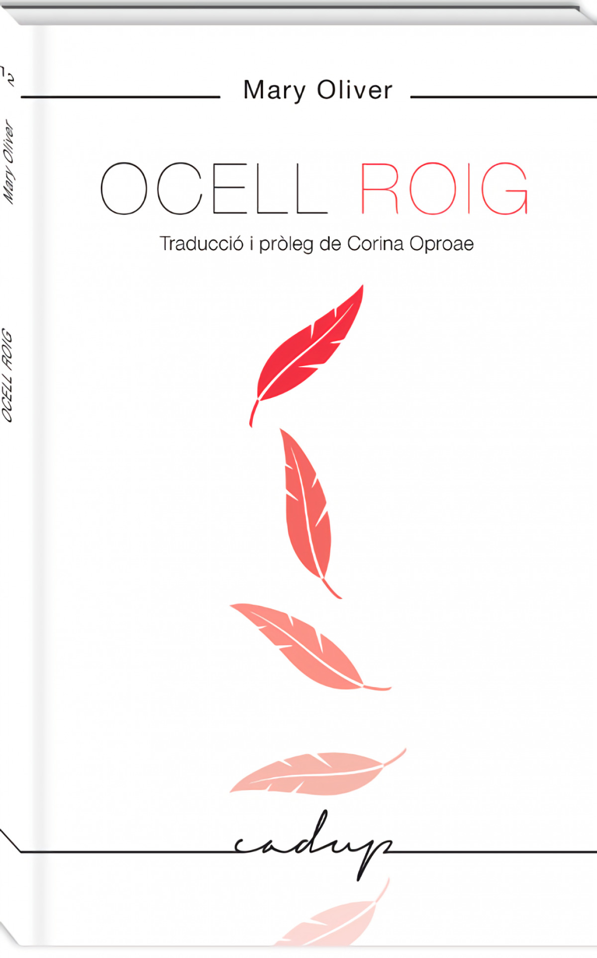 OCELL ROIG