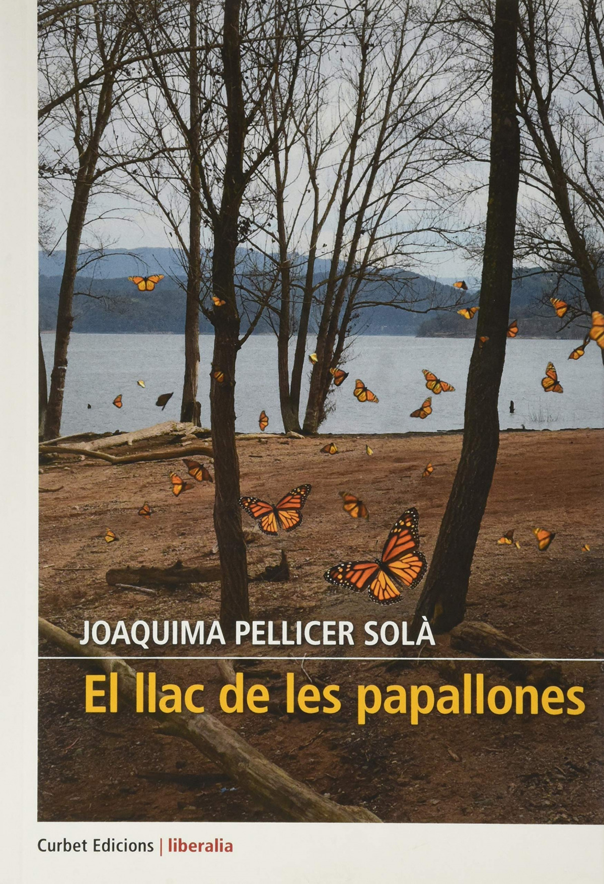 Els primers cinquanta estius de l'Almadraba Park Hotel