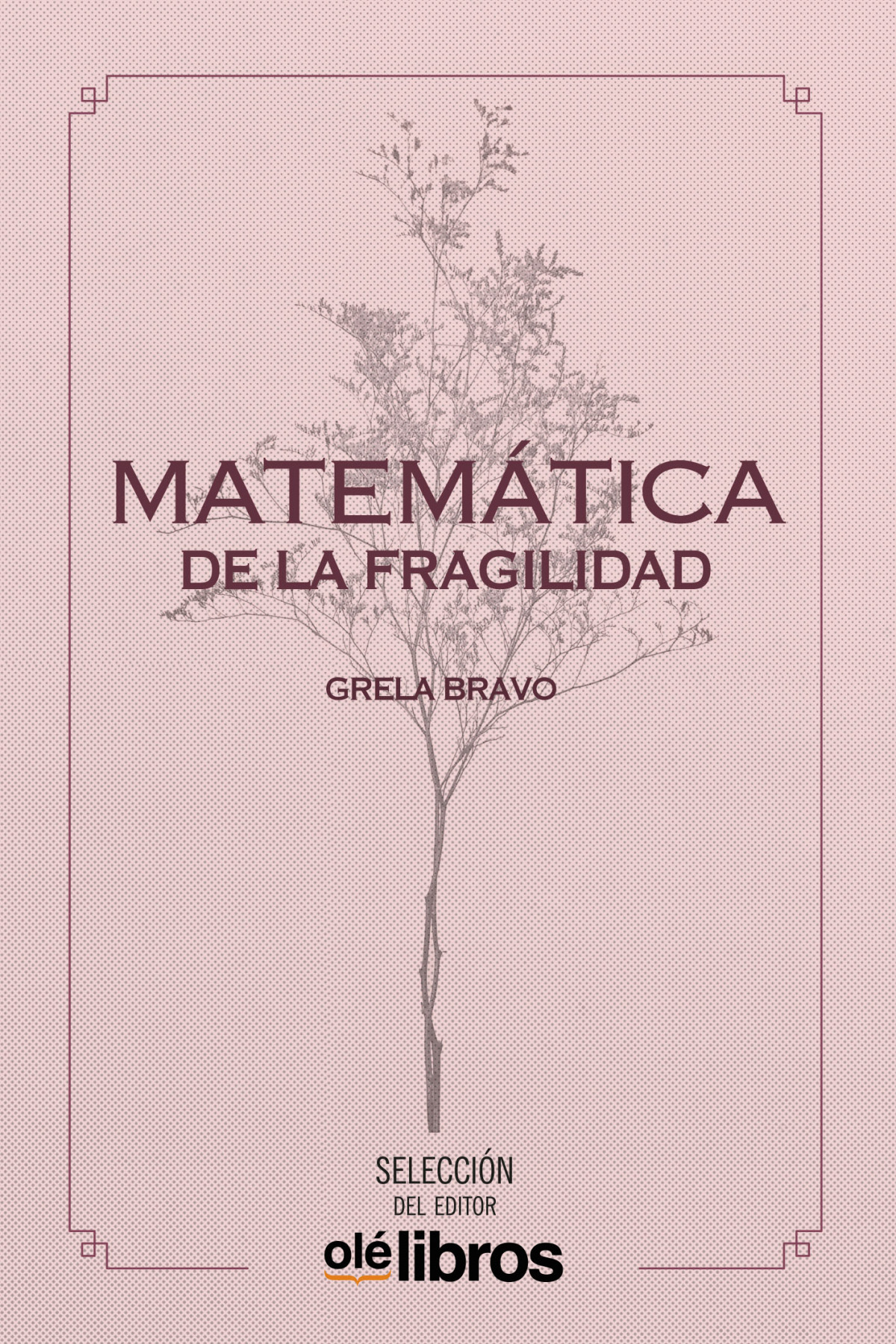 Matemática de la fragilidad