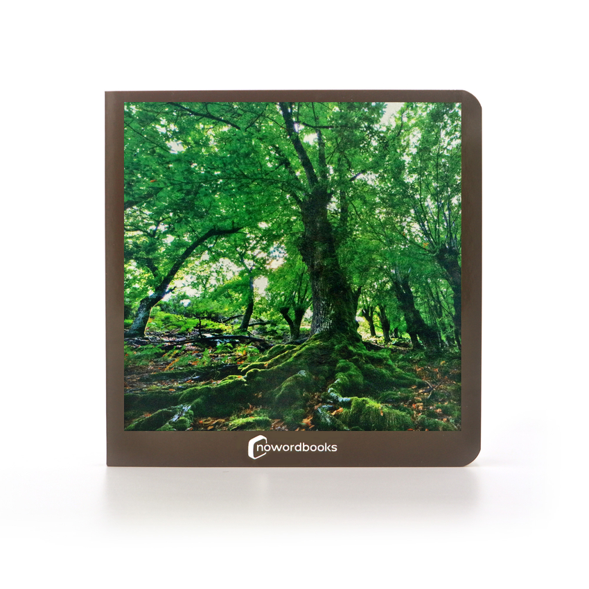 EL BOSQUE