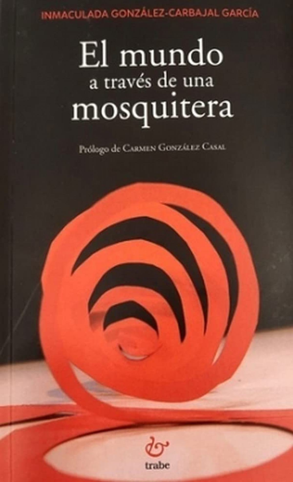 EL MUNDO A TRAVES DE UNA MOSQUITERA-TRAB