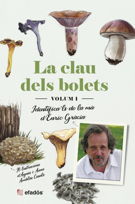 LA CLAU GRAFICA DELS BOLETS