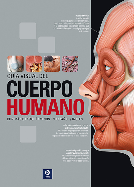 GUÍA VISUAL DEL CUERPO HUMANO