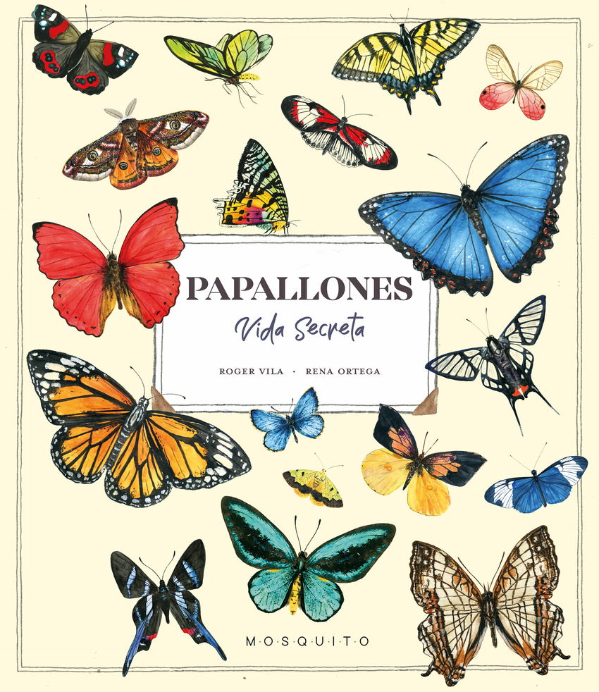 PAPALLONES VIDA SECRETA
