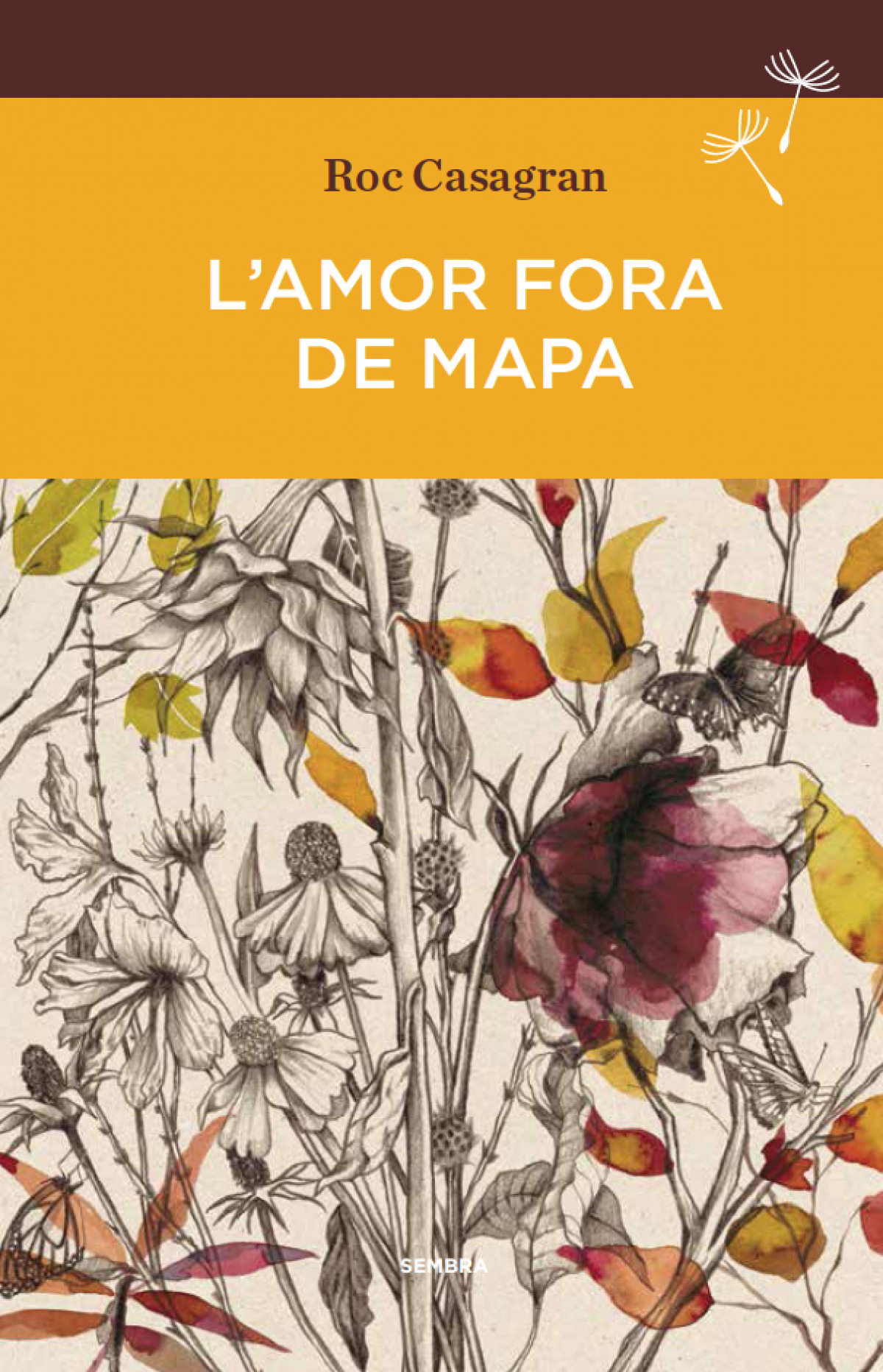 L'amor fora de mapa (BUTXACA)