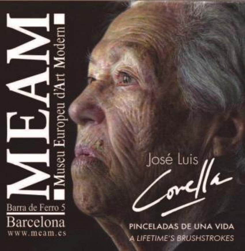 Pinceladas de una vida;A lifetime's Brushstrokes