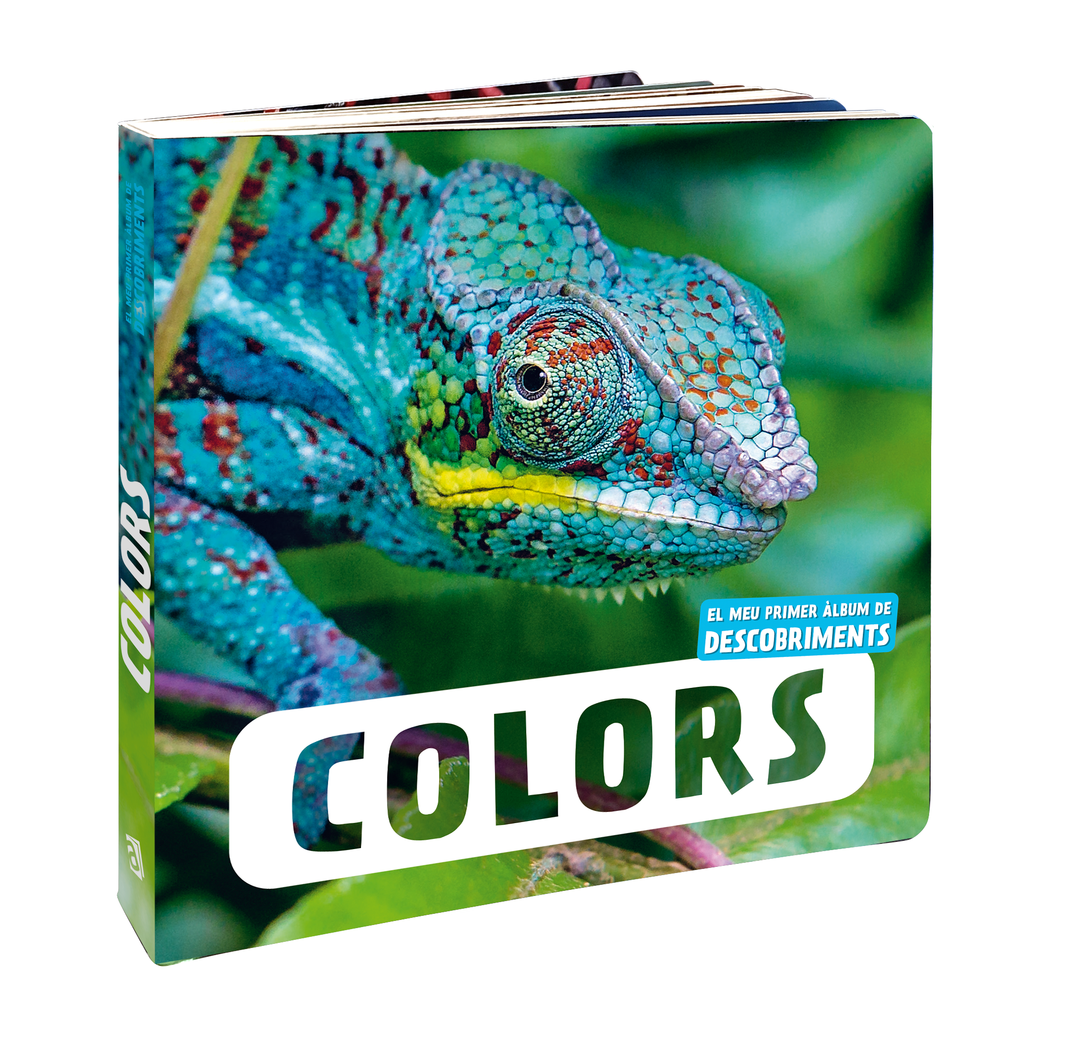 Colors