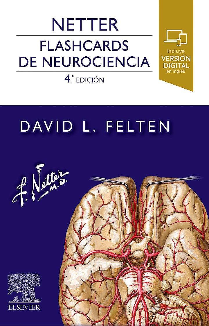 NETTER FLASHCARDS DE NEUROCIENCIA 4ª ED