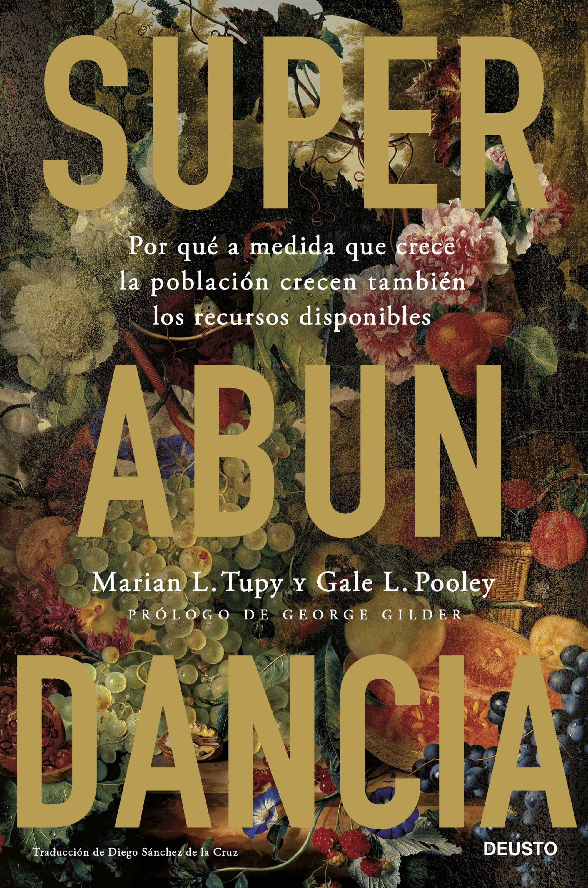 Superabundancia