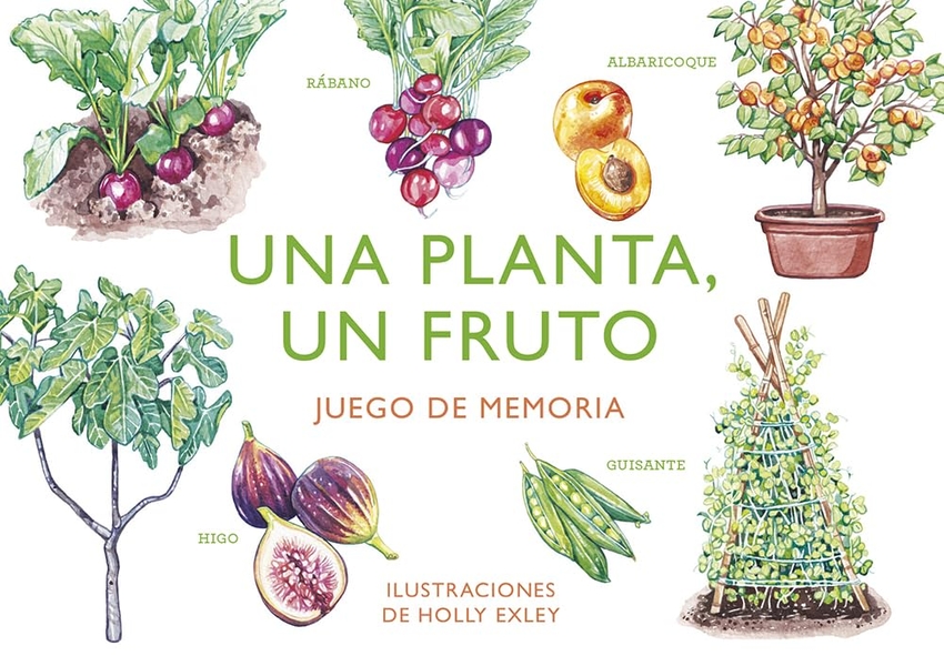 UNA PLANTA, UN FRUTO