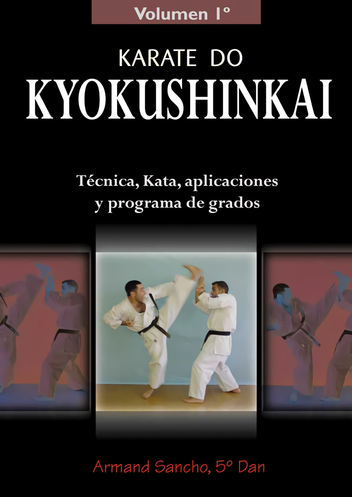 Karate do kyokushinkai