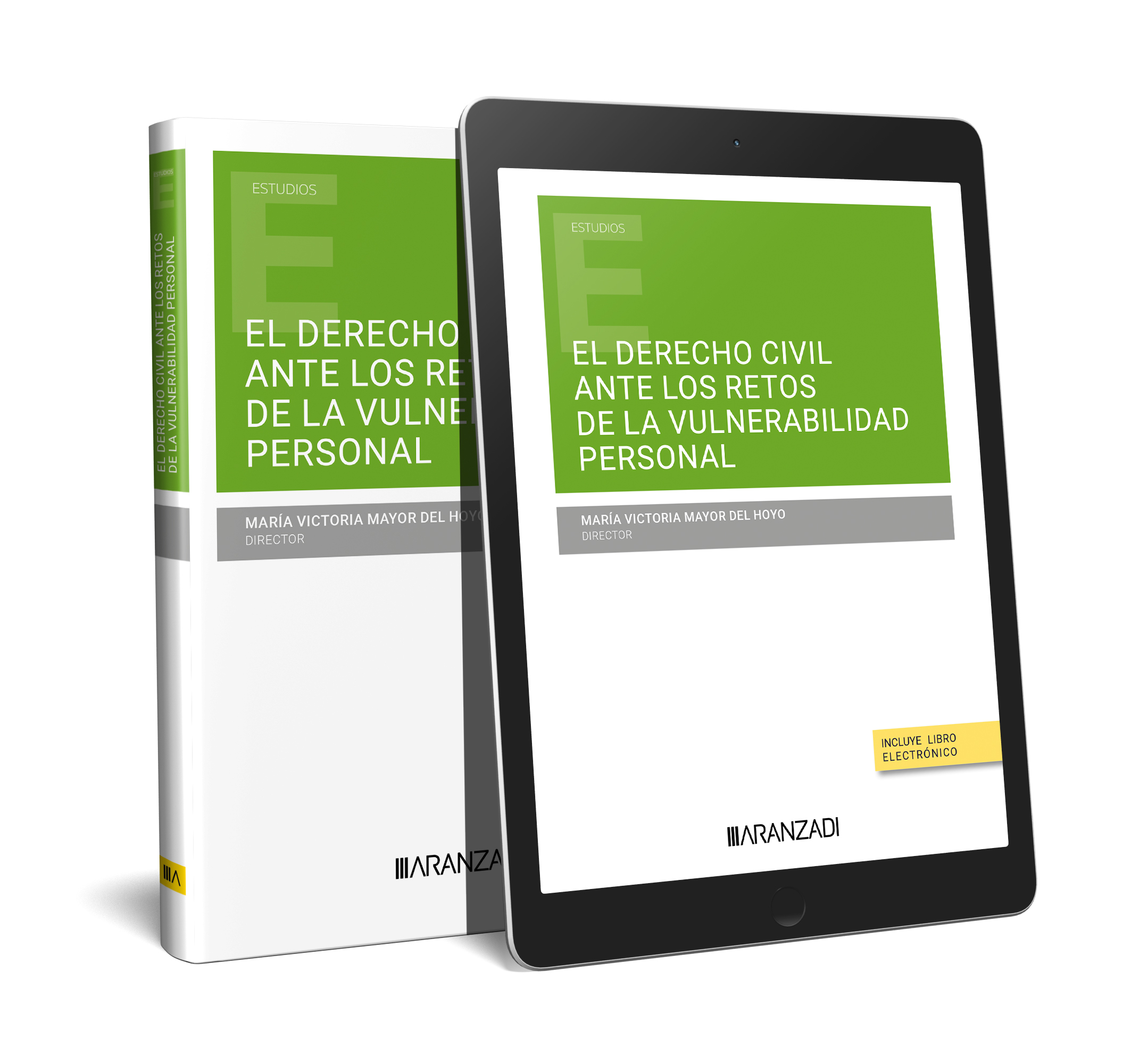 El derecho civil ante los retos de la vulnerabilidad personal