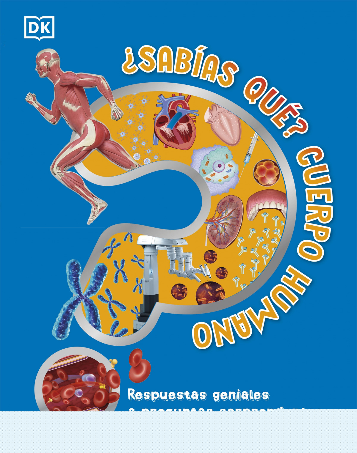 ¿SABÍAS QUÉ? CUERPO HUMANO