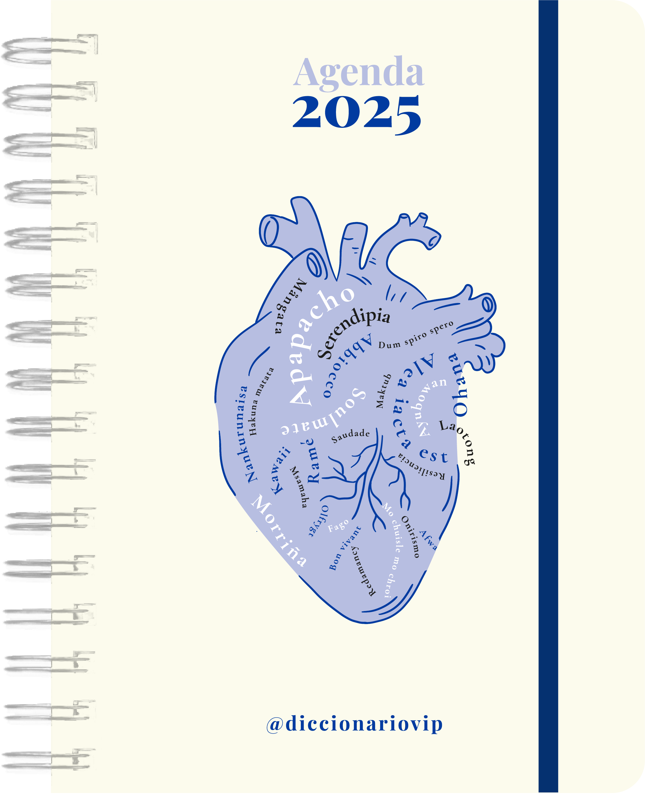Agenda anual diaria 2025 'DiccionarioVip'