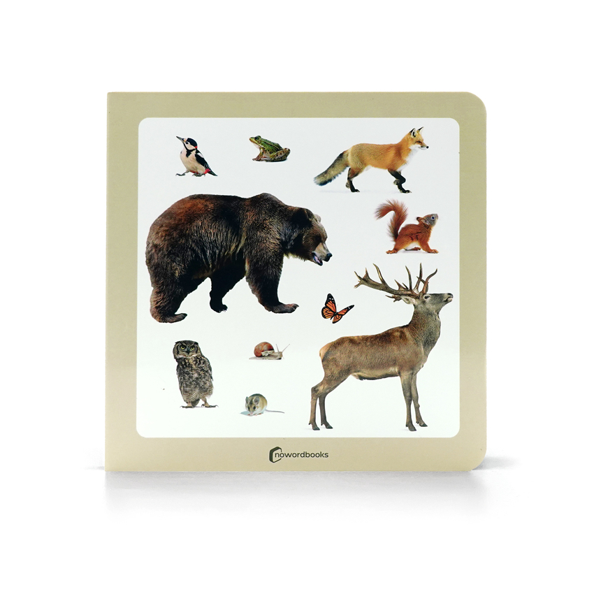 ANIMALES SALVAJES 3