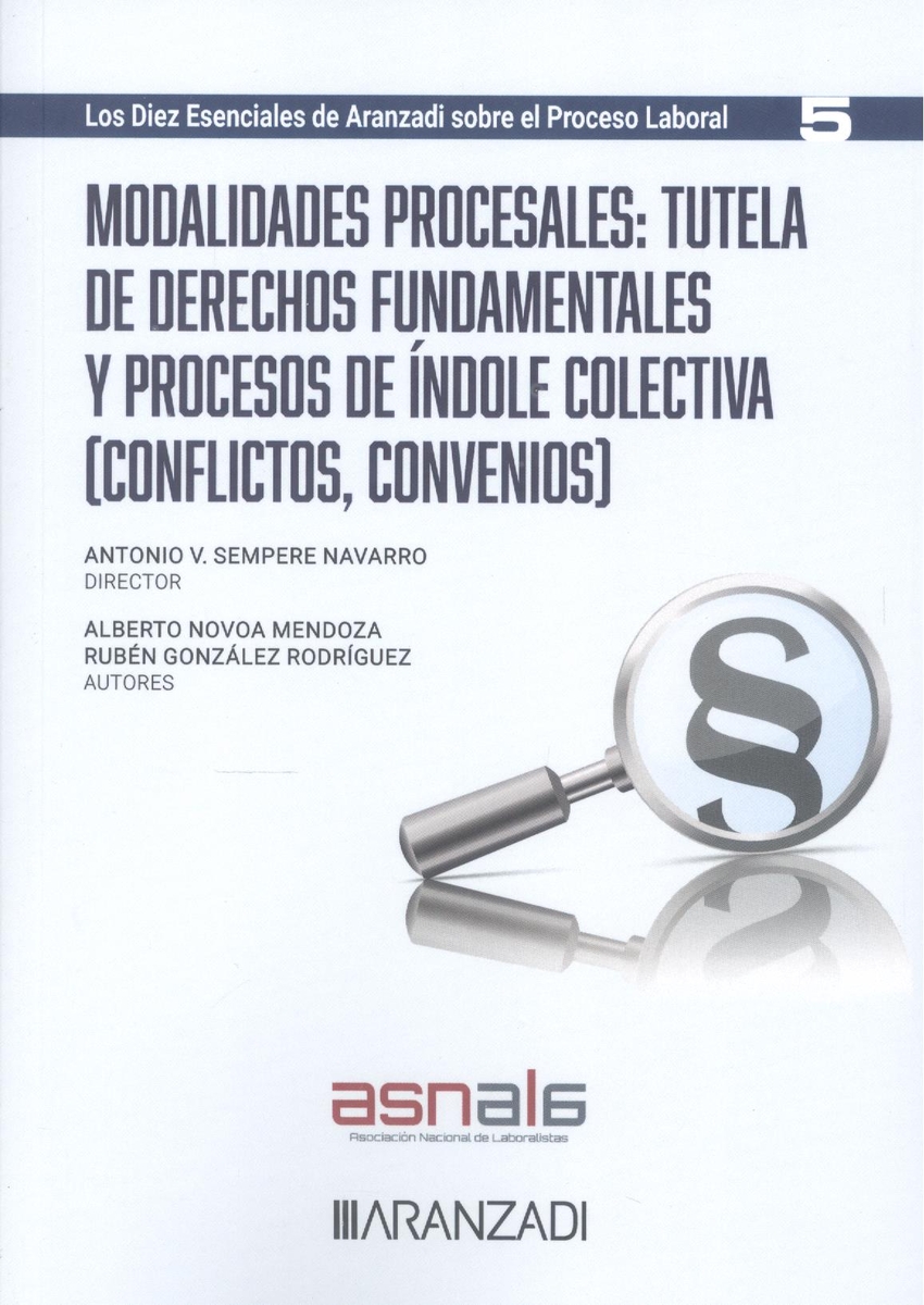 Modalidades procesales: tutela de derechos fundamentales y procesos de índole colectiva